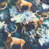Poncho Forêt majestueuse
