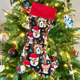 Bas De Noel, Chien Noel