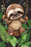 Doudou Paresseux