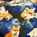 Poncho Renard du nord
