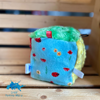 Cube d'Éveil Coccinelle