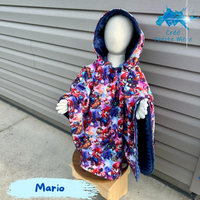 Poncho Mario
