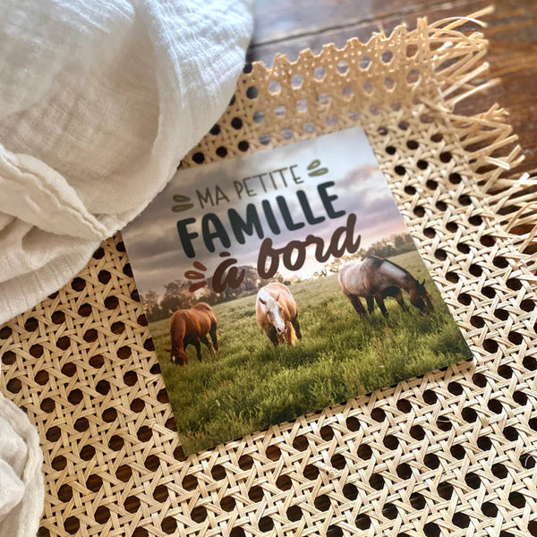 Autocollant Voiture Ma Petite Famille à Bord
