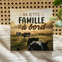 Autocollant Voiture Ma Petite Famille à Bord