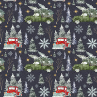 Bas De Noel Camion Rouge