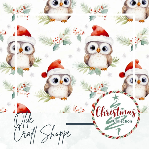 Bas De Noel Hibou Noel