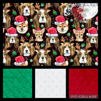 Bas De Noel, Chien Noel