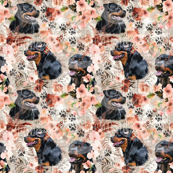 Poncho Rottweiler Fleuri